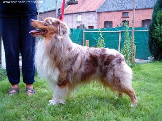 To catch the sun des Chemins Cathares