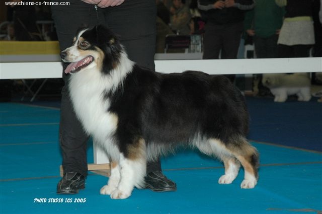 Ultim choice des Chemins Cathares