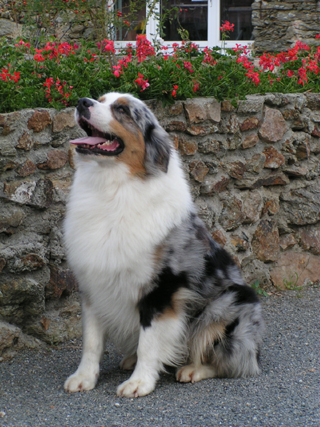 Udefix des Chemins Cathares