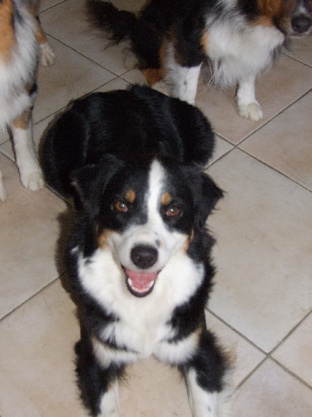 Beyond belief des Chemins Cathares